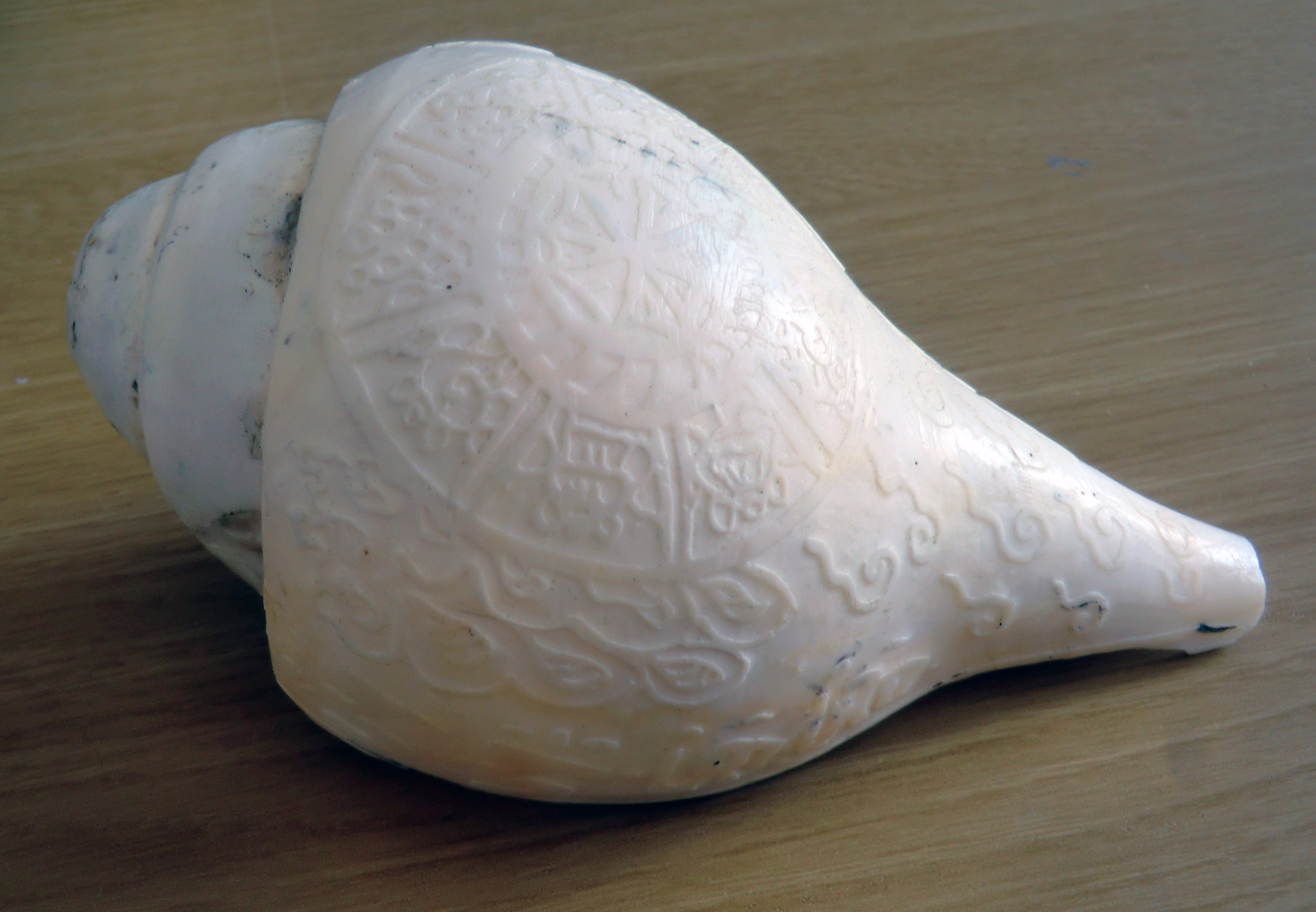 Whole Carved Large Conch Shell 15cm Long