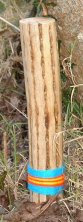 Fair Trade Cactus Rain Stick 25cm