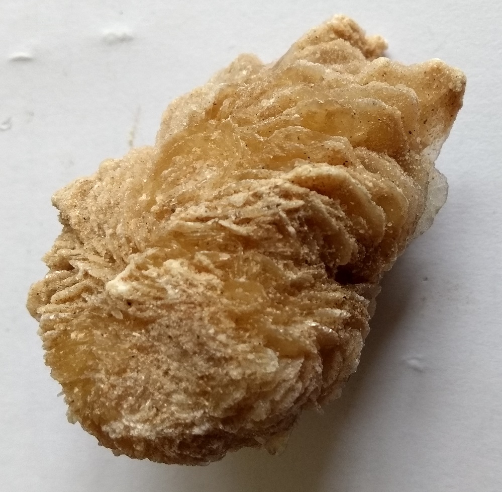 Gypsum Specimen No 40