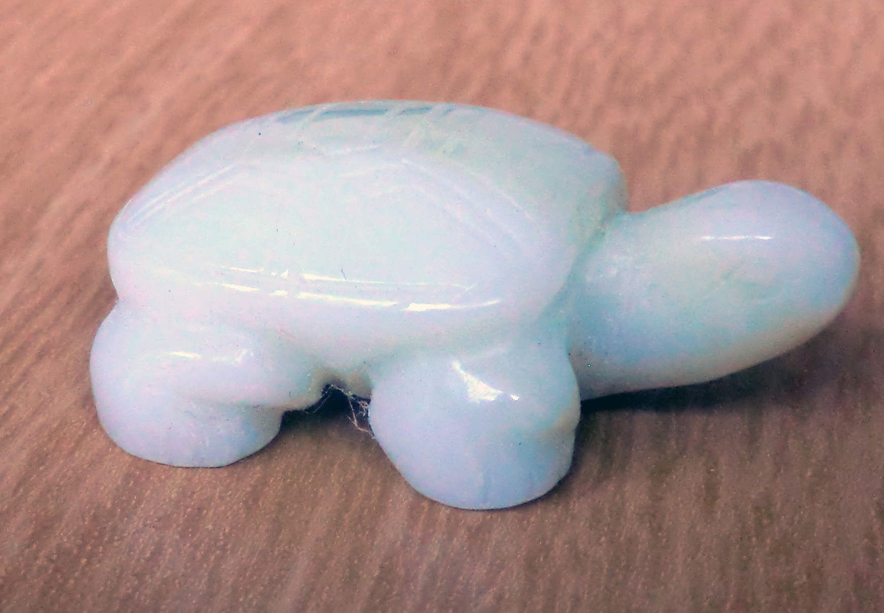 Pale Crystal Turtle