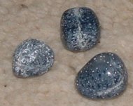 Blue Coral Tumble Stones