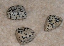 Dalmation Jasper Tumble Stones