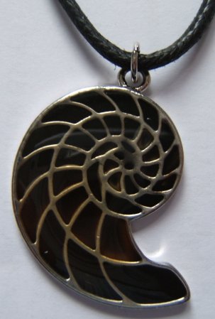 Ammonite Mood Pendant on Thong