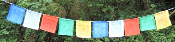 String of Ten Buddhist Prayer Flags (Wind Horses)