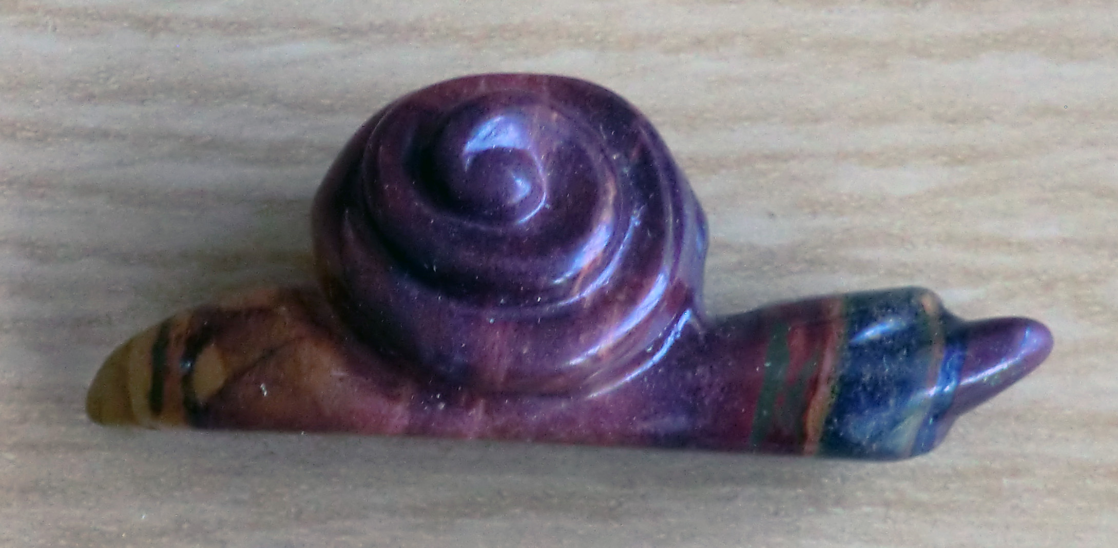 Brown Banded Crystal Snail - Reduced Price - No 09