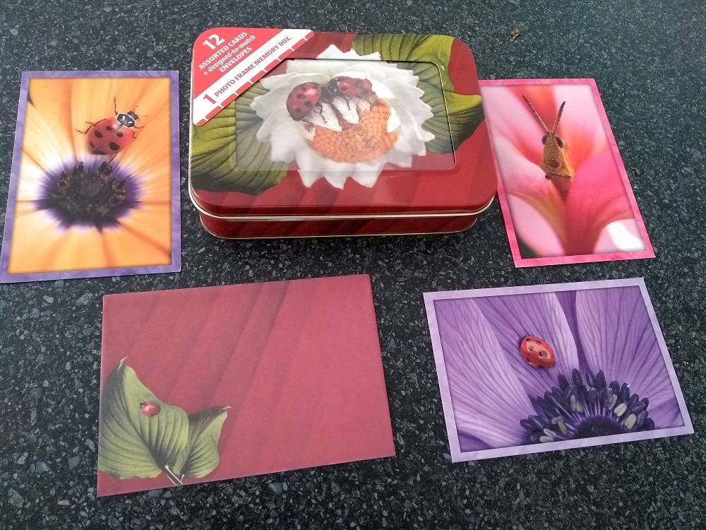 Tree Free Bugs Life Cards 