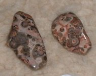 Leopard Skin Jasper Tumble Stones