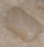 Moonstone (Small) Tumble Stones