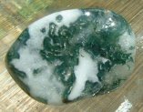 Tree Agate Tumble Stones