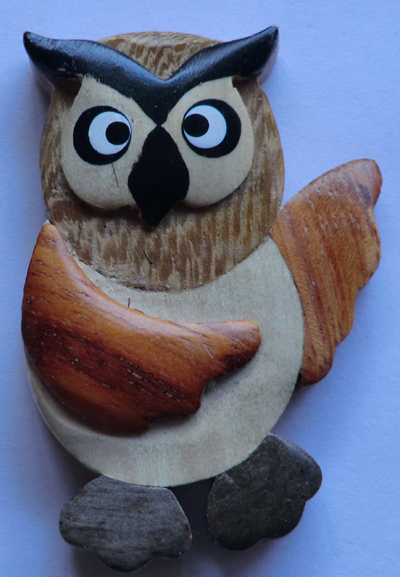 Owl Fridge Magnet