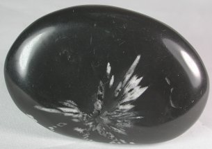 Crysanthemum Stone Worry Stone