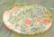 Unakite Worry Stone